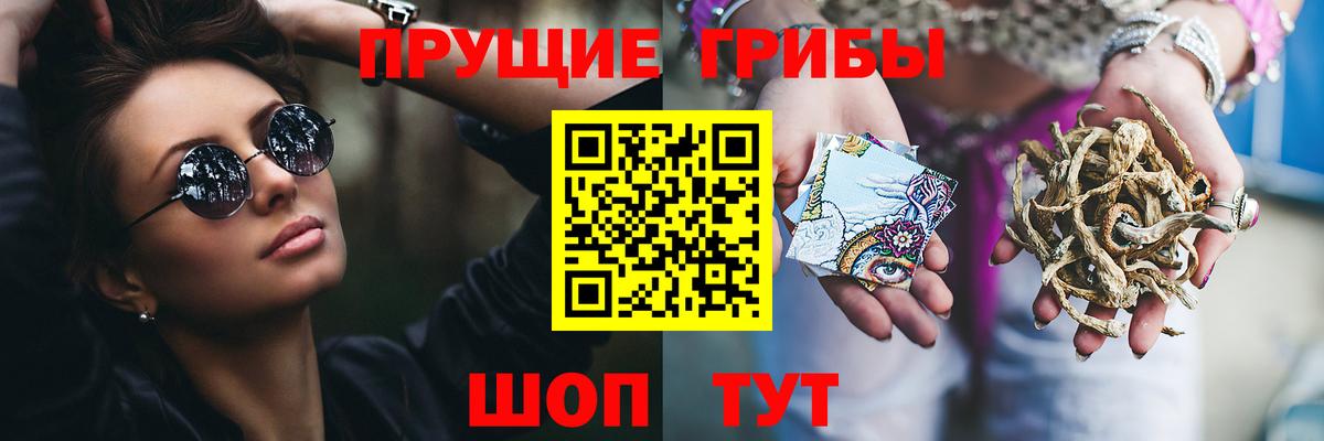 Псилоцибиновые грибы мухоморы Минеральные Воды